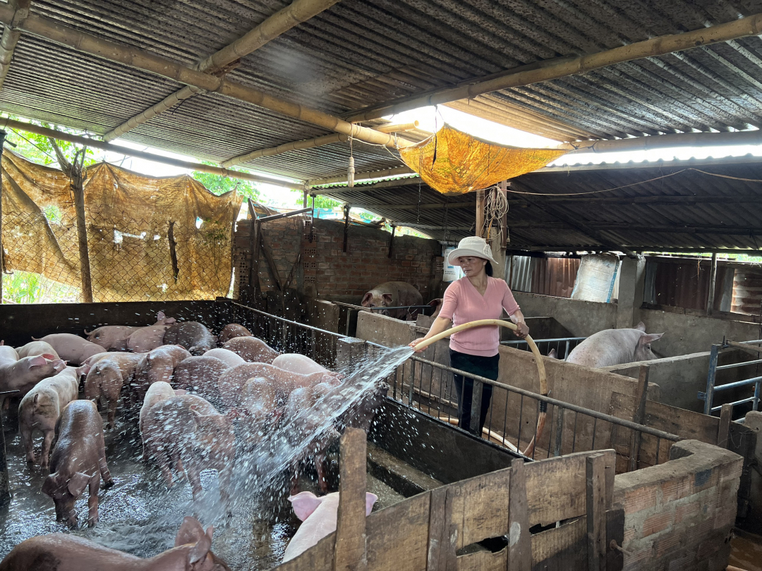 Trao &quot;cần câu&quot;, mở lối thoát nghèo bền vững cho người dân Đắk Lắk - Ảnh 2.