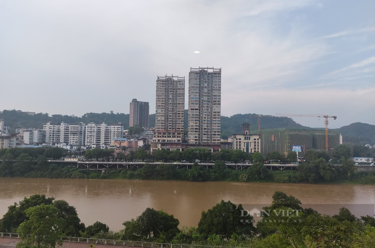 Những đêm trắng lùng bắt sâm lậu (Bài 4) - Ảnh 2.