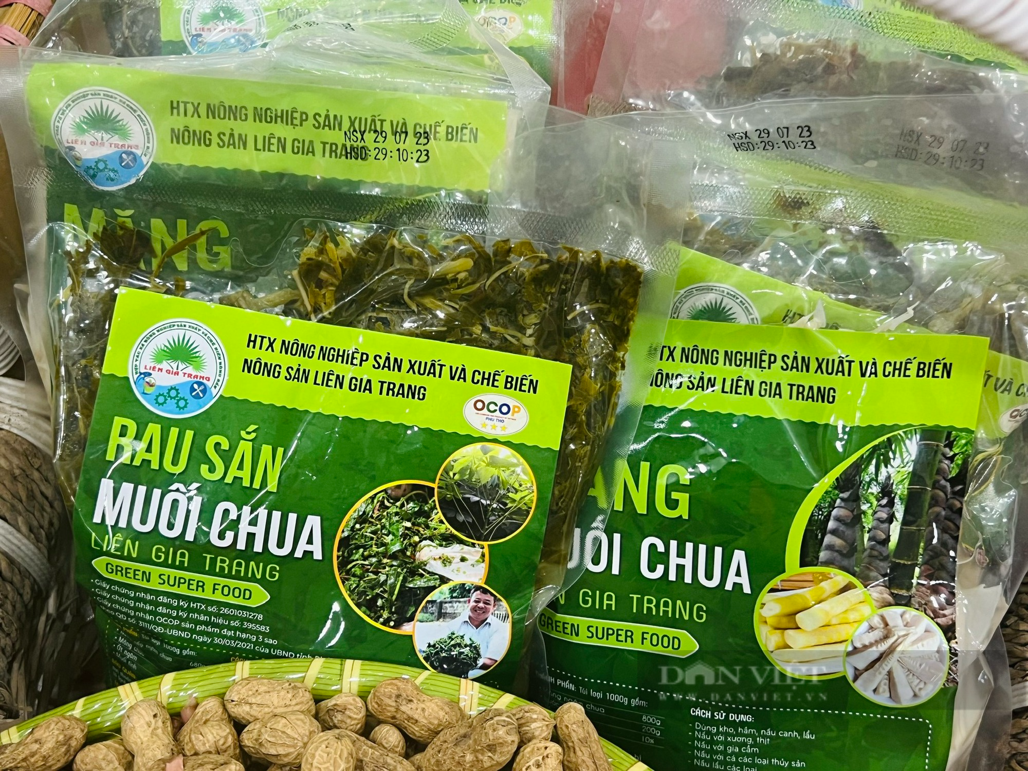 Hơn 4 tỉ đồng hỗ trợ 13 hợp tác xã, 300 nông dân huyện miền núi Phú Thọ phát triển nông nghiệp - Ảnh 4.