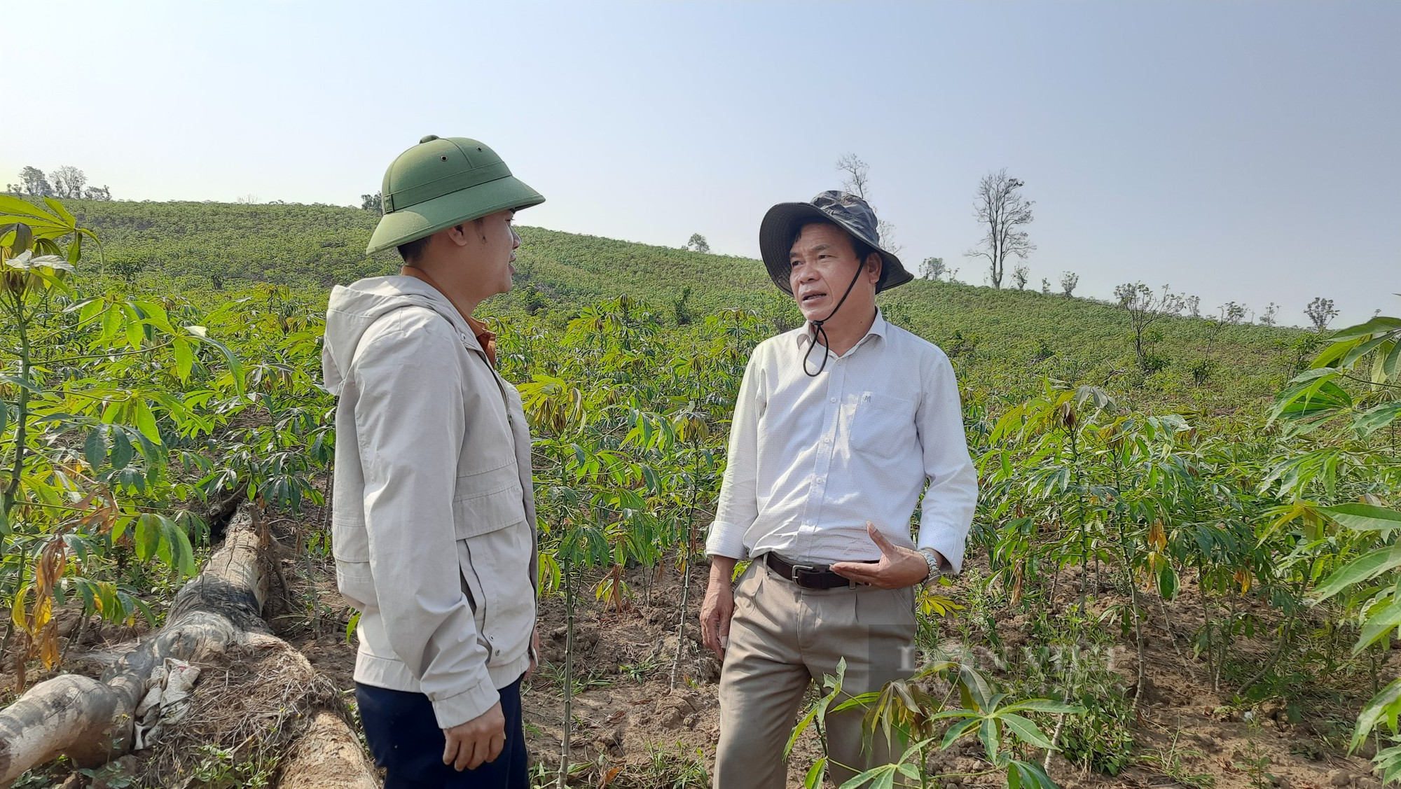 Vụ đốt phá rừng, chiếm 30ha đất suốt 12 năm: Đưa vào diện theo dõi “đặc biệt” - Ảnh 1.