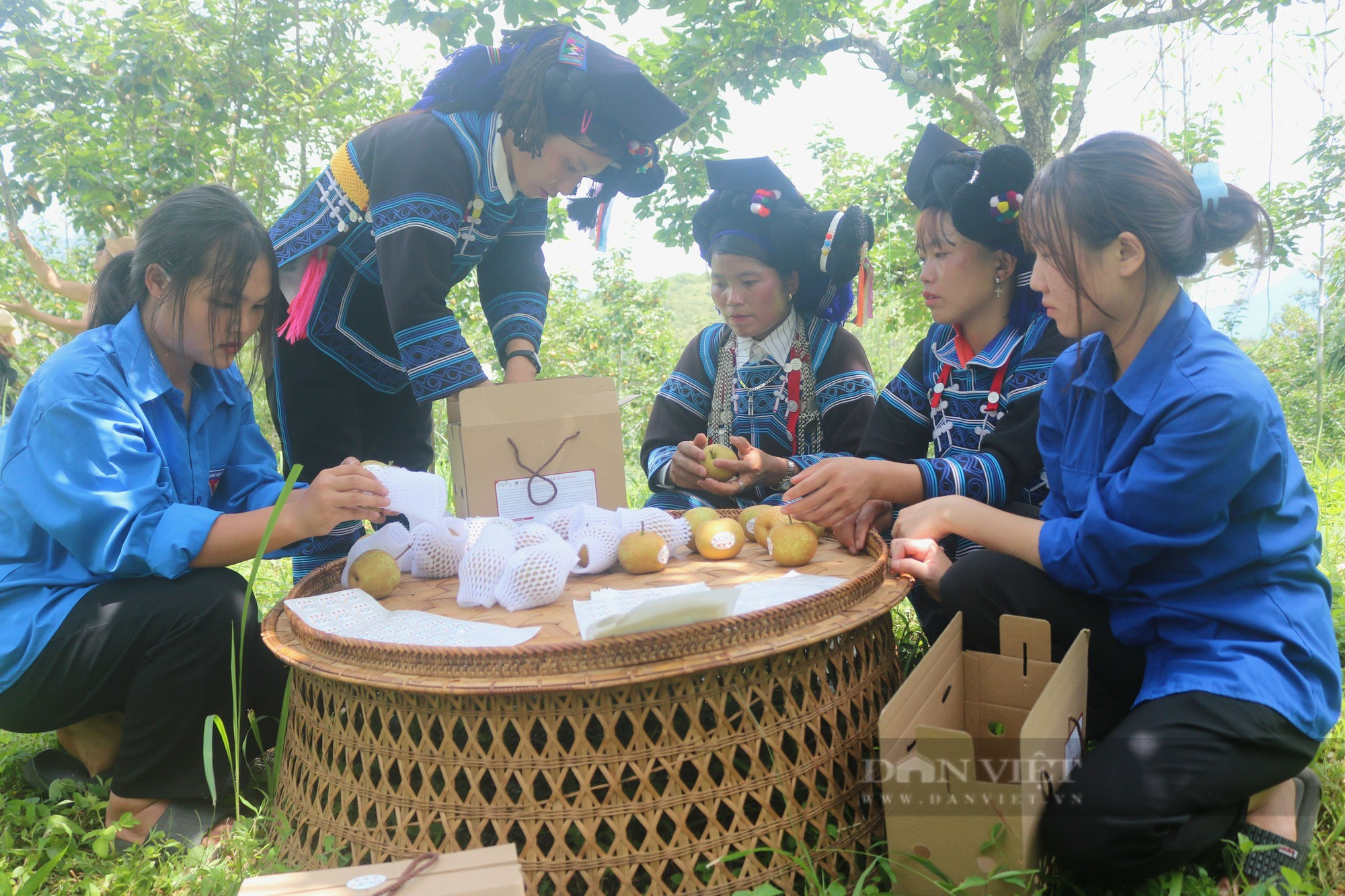 Đưa nông sản huyện vùng biên Lào Cai lên sàn thương mại điện tử - Ảnh 4.