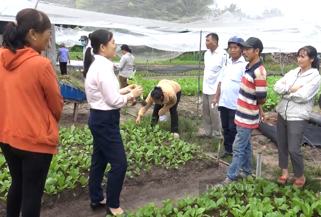 TP.HCM nâng cao chất lượng dạy nghề đạt trình độ quốc tế - Ảnh 1.
