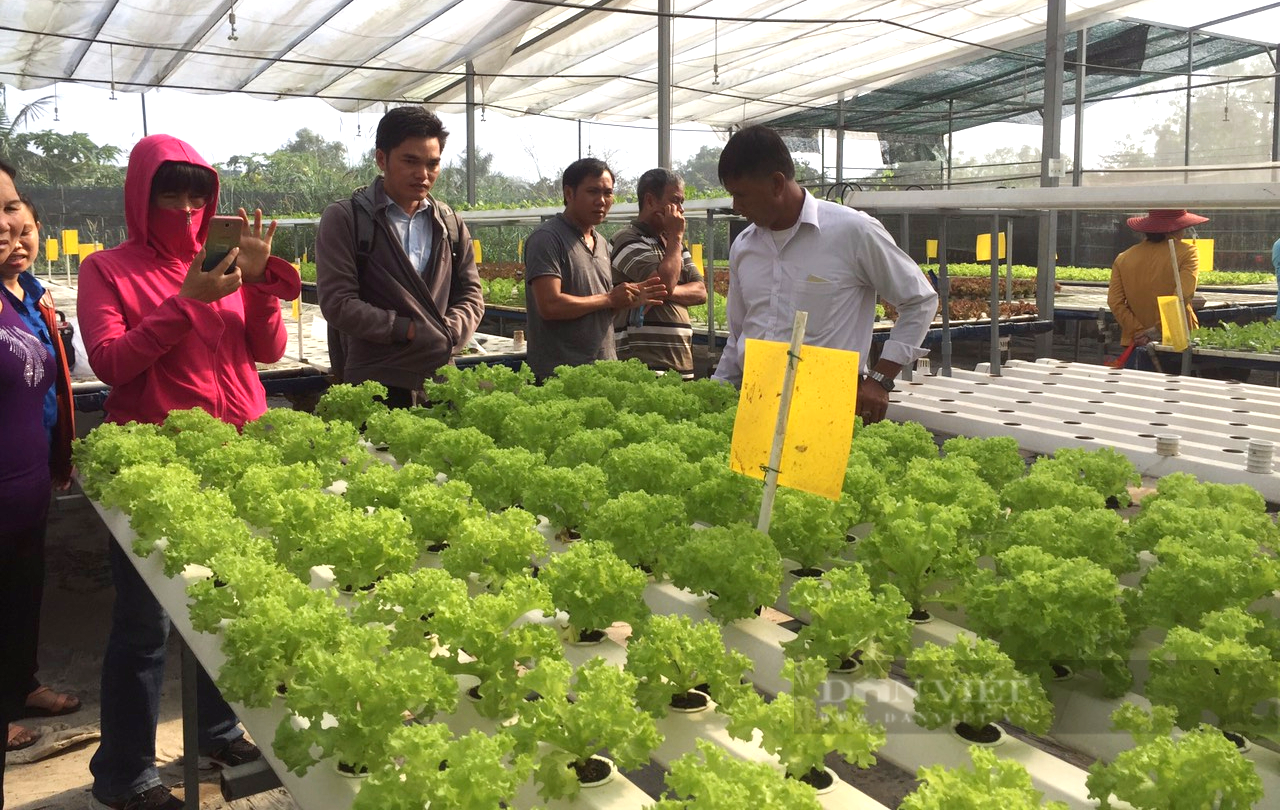 TP.HCM nâng cao chất lượng dạy nghề đạt trình độ quốc tế - Ảnh 3.