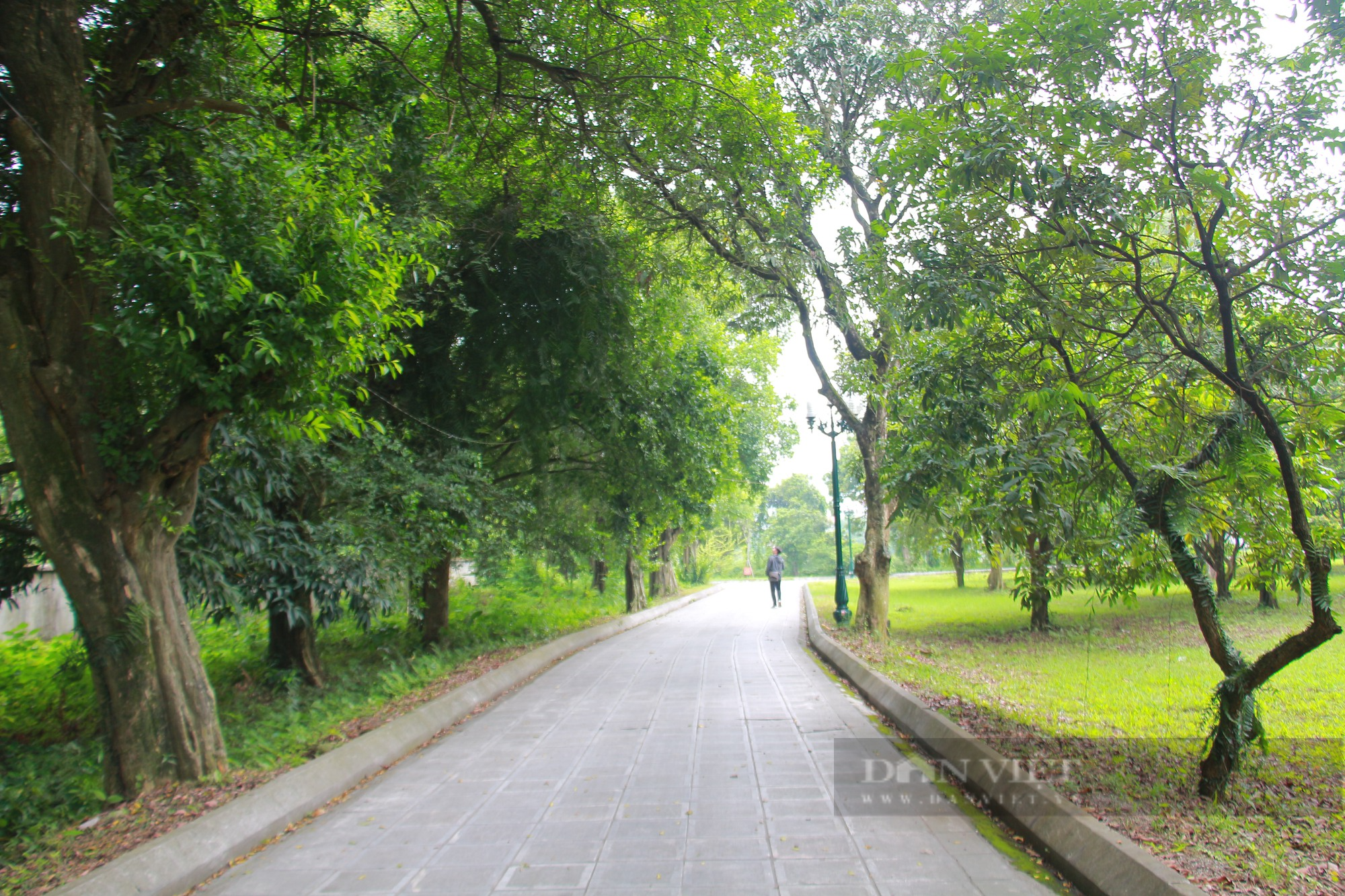Chùa Bà Đanh ở Hà Nam thờ 1 vị thần trong 4 Tứ pháp có ảnh hưởng đến sản xuất nông nghiệp - Ảnh 3.