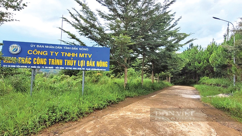 Hàng nghìn ha lúa ở Đắk Nông nguy cơ mất trắng vì thiếu nước giữa mùa mưa - Ảnh 3.