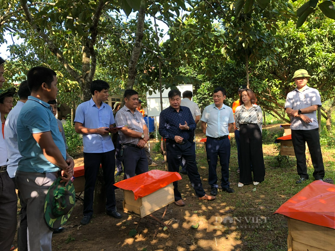 Nắng như đổ lửa nhưng người nuôi ong ở Hà Tĩnh vẫn cười tươi vì được mùa &quot;mật ngọt&quot;, bán giá 300.000 đồng/lít - Ảnh 3.