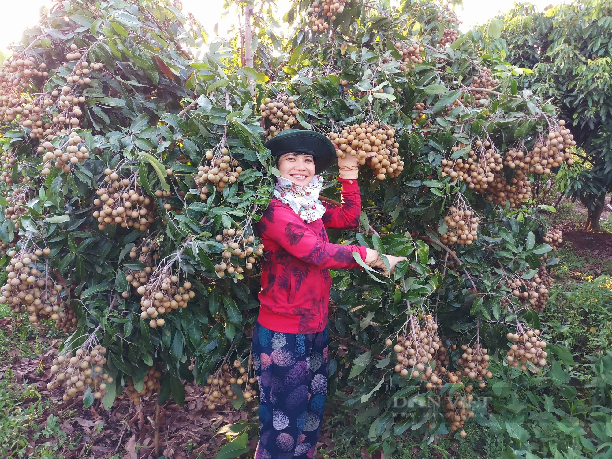 Hội Nông dân Cần Thơ: Lan tỏa sâu rộng các phong trào thi đua do Hội phát động - Ảnh 4.