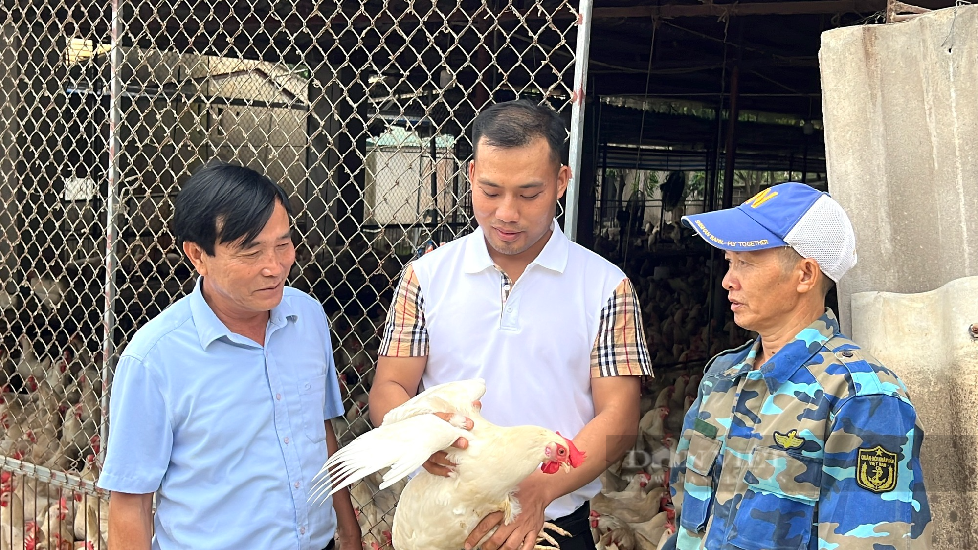 Thanh Hoá: Bỏ việc quản lý tại khách sạn về quê nuôi gà đẻ trứng, thu tiền tỷ/năm - Ảnh 2.