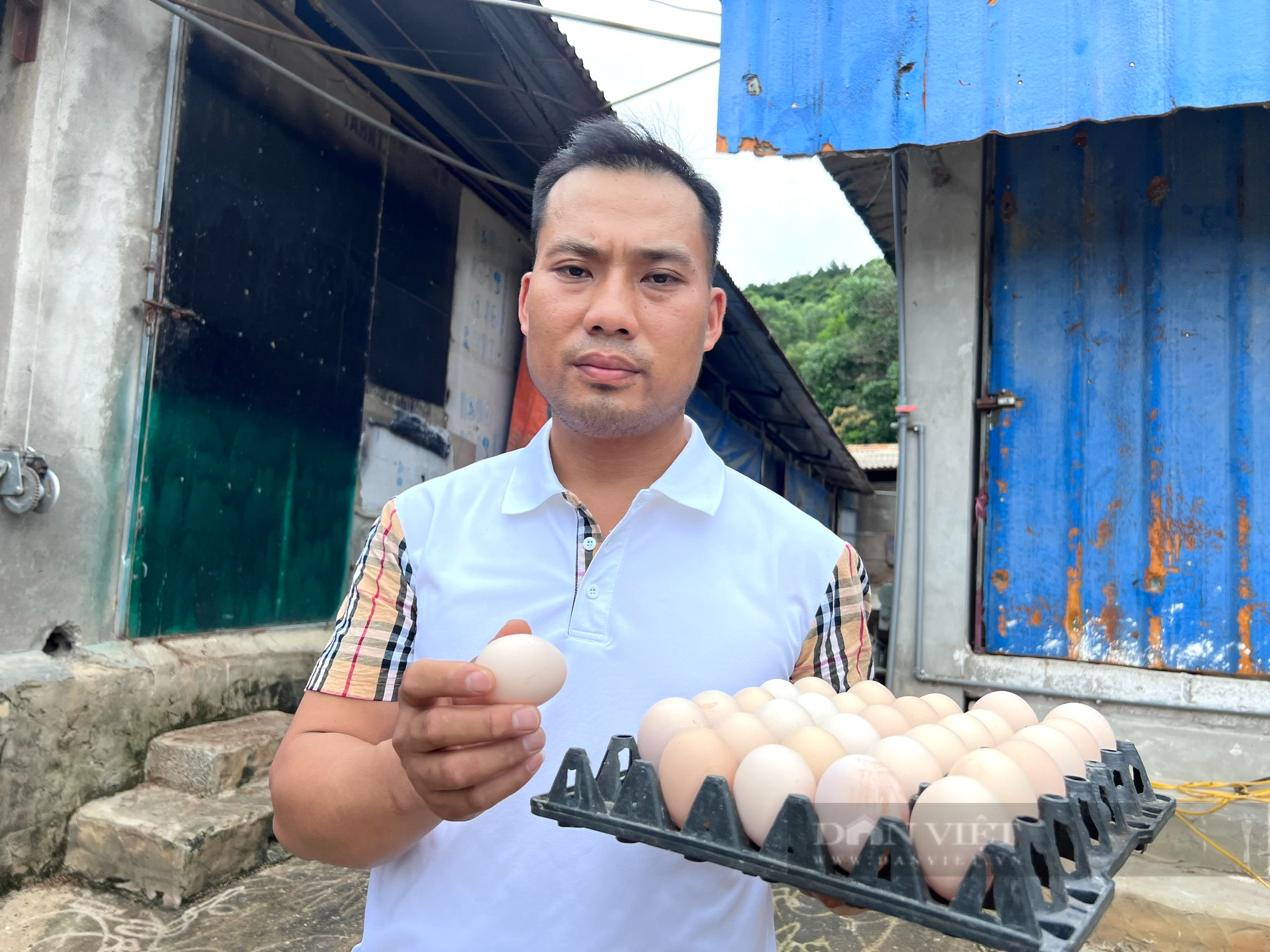 Thanh Hoá: Bỏ việc quản lý tại khách sạn về quê nuôi gà đẻ trứng, thu tiền tỷ/năm - Ảnh 3.
