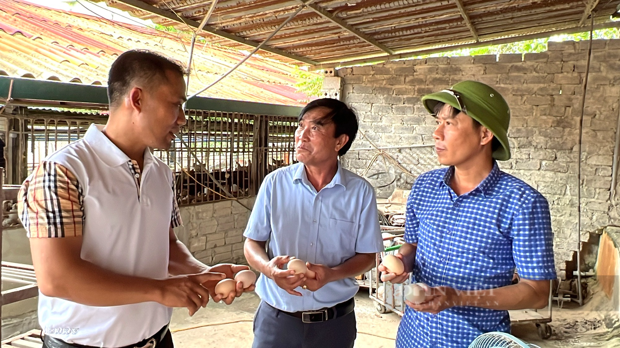 Thanh Hoá: Bỏ việc quản lý tại khách sạn về quê nuôi gà đẻ trứng, thu tiền tỷ/năm - Ảnh 5.
