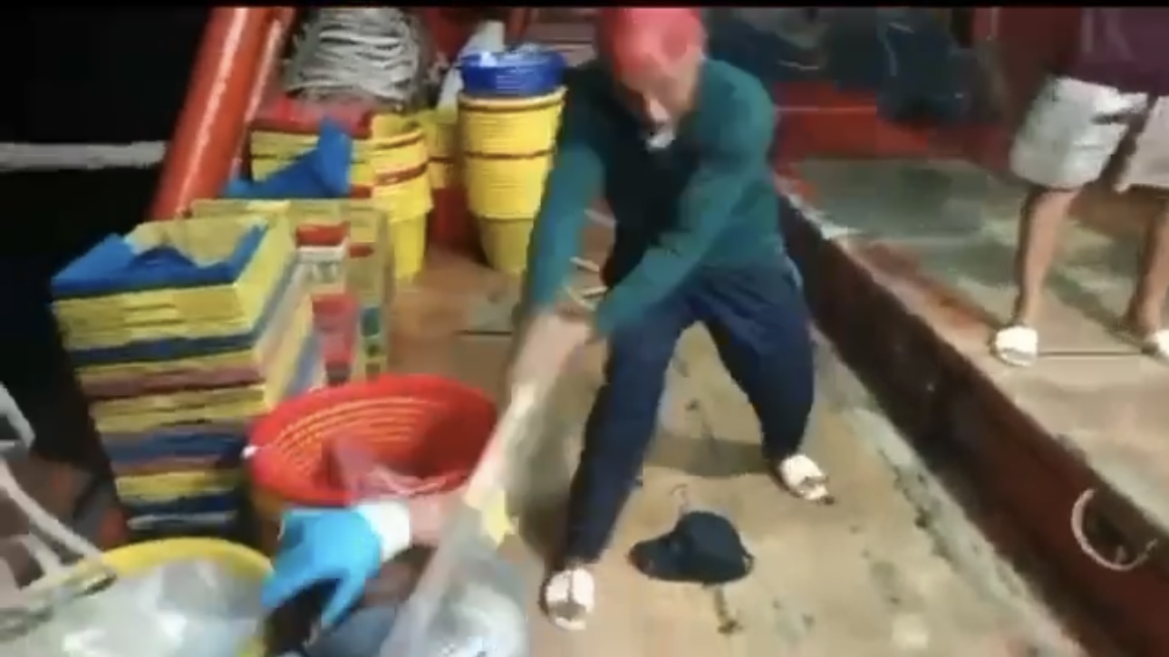 Xác minh clip 4 ngư dân theo tàu cá bị đánh dã man trên biển - Ảnh 2.