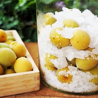 Kể chuyện làng: Sân nhà có một cây mơ - Ảnh 2.