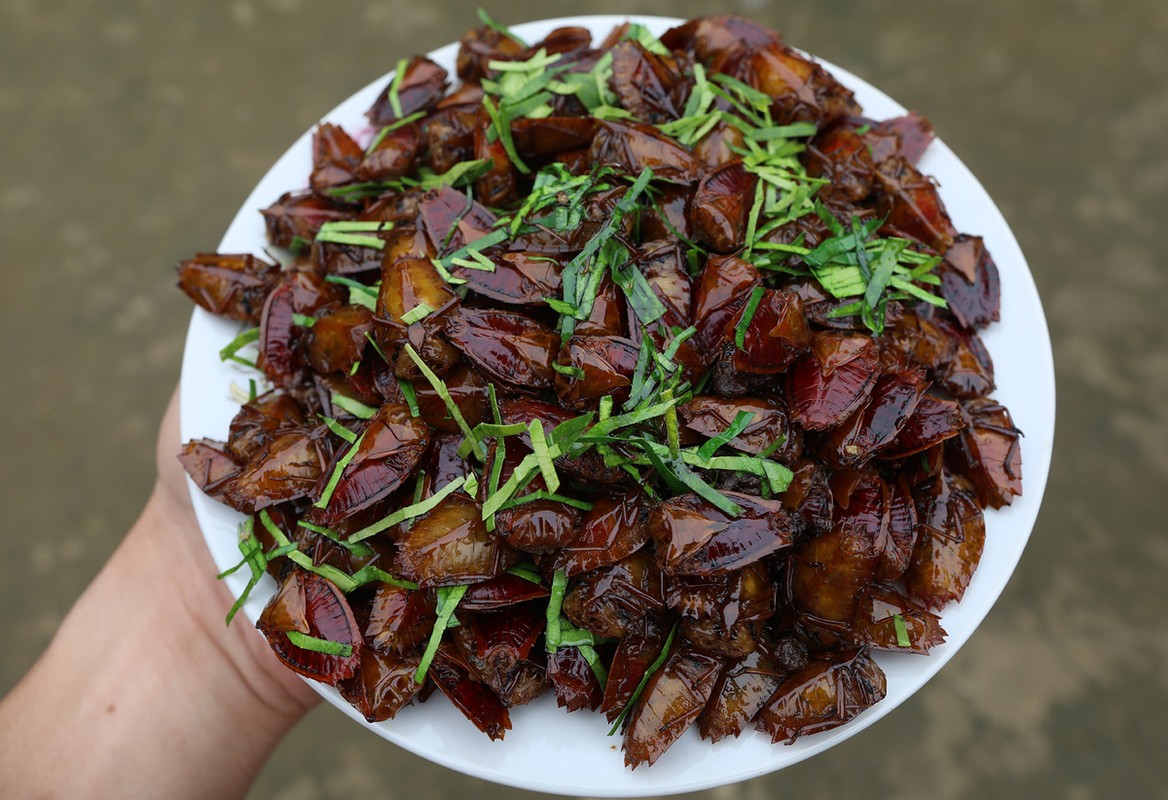 Loài hôi hám ai nhìn thấy cũng chỉ muốn “né” thành đặc sản nổi tiếng vô cùng đắt đỏ, &quot;hút&quot; dân sành - Ảnh 2.