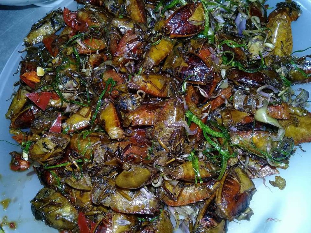 Loài hôi hám ai nhìn thấy cũng chỉ muốn “né” thành đặc sản nổi tiếng vô cùng đắt đỏ, &quot;hút&quot; dân sành - Ảnh 3.