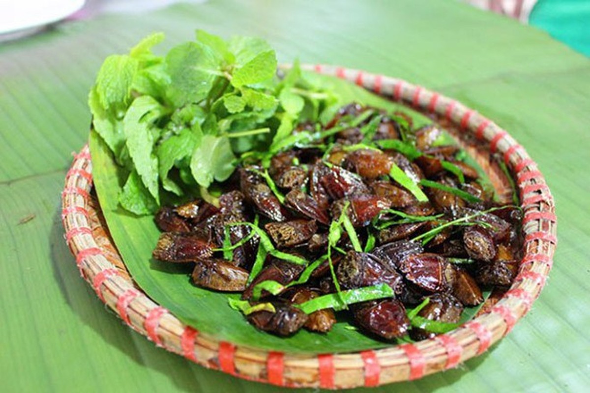 Loài hôi hám ai nhìn thấy cũng chỉ muốn “né” thành đặc sản nổi tiếng vô cùng đắt đỏ, &quot;hút&quot; dân sành - Ảnh 4.