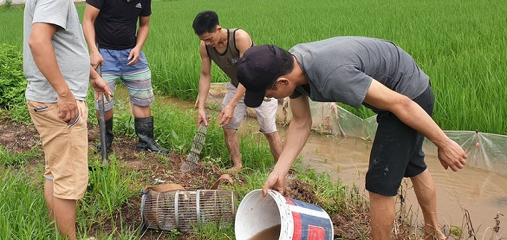 Loài hôi hám ai nhìn thấy cũng chỉ muốn “né” thành đặc sản nổi tiếng vô cùng đắt đỏ, &quot;hút&quot; dân sành - Ảnh 6.