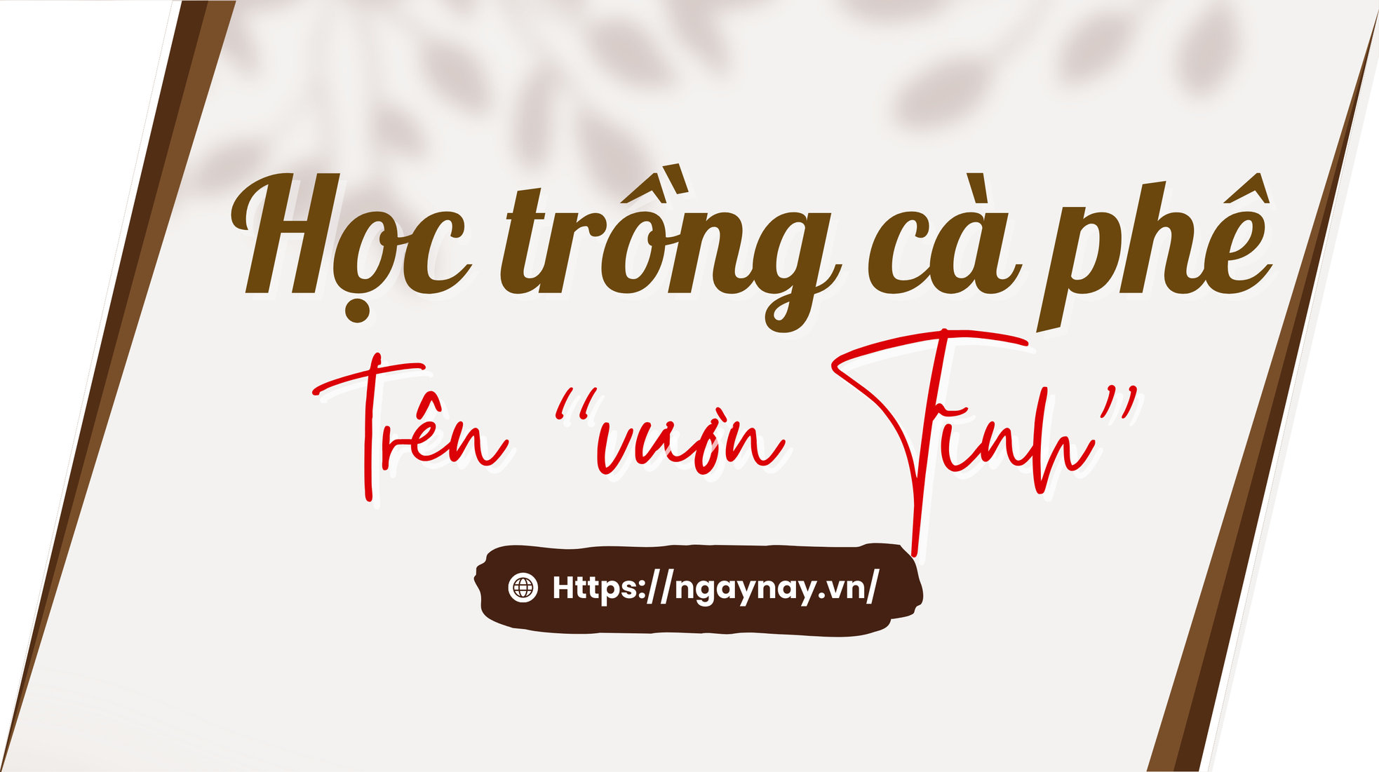 Cà phê rang củi giữa lòng Hà Nội - Ảnh 4.