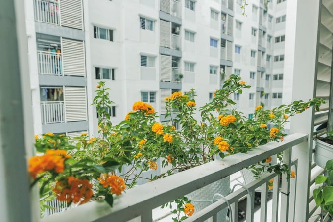 Tiết kiệm mỗi tháng 20 triệu đồng, 9X mua được nhà tiền tỷ ở TPHCM - Ảnh 3.