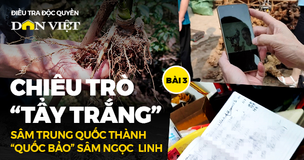 Chủ tịch UBND tỉnh Kon Tum tặng Bằng khen cho nhóm PV Báo NTNN/Điện tử Dân Việt- Ảnh 1.