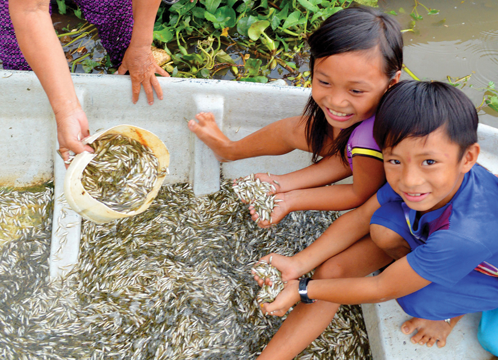 Đậm đà vị cá linh non - Ảnh 1.