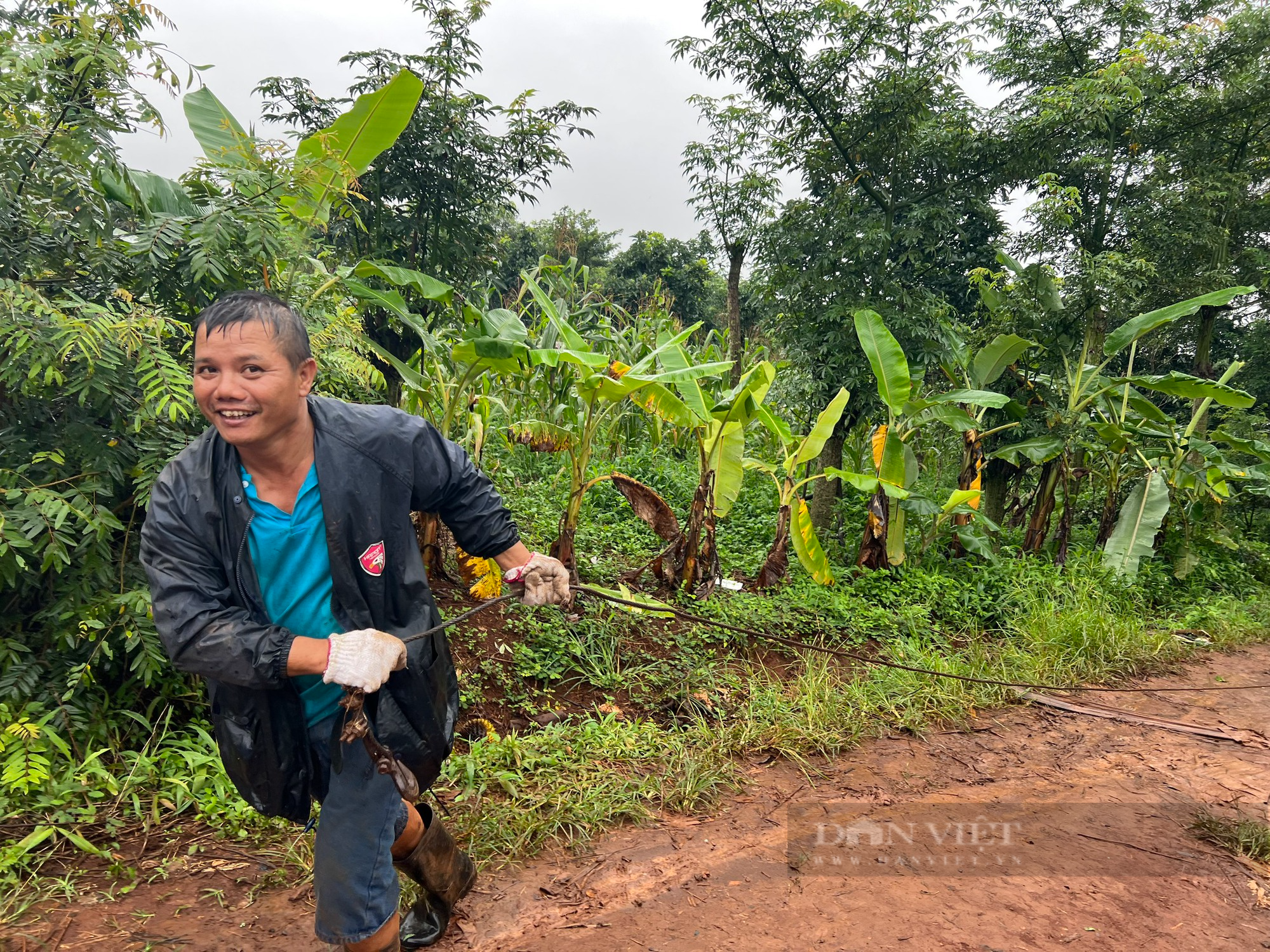 Mùa mưa bão, người dân &quot;dở khóc dở cười&quot; vận chuyển sầu riêng - Ảnh 3.