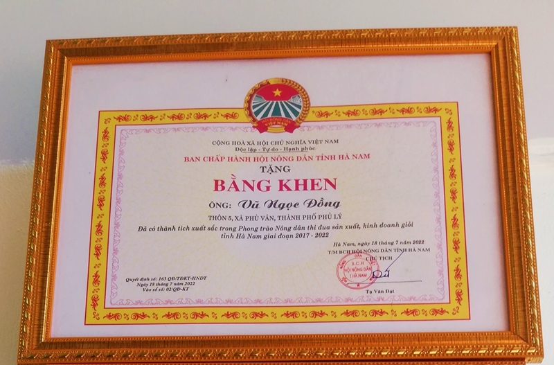Một anh nông dân Hà Nam tự trả lương cao cho chính mình bằng trồng hoa hồng cổ Sa Pa vạn người mê - Ảnh 3.