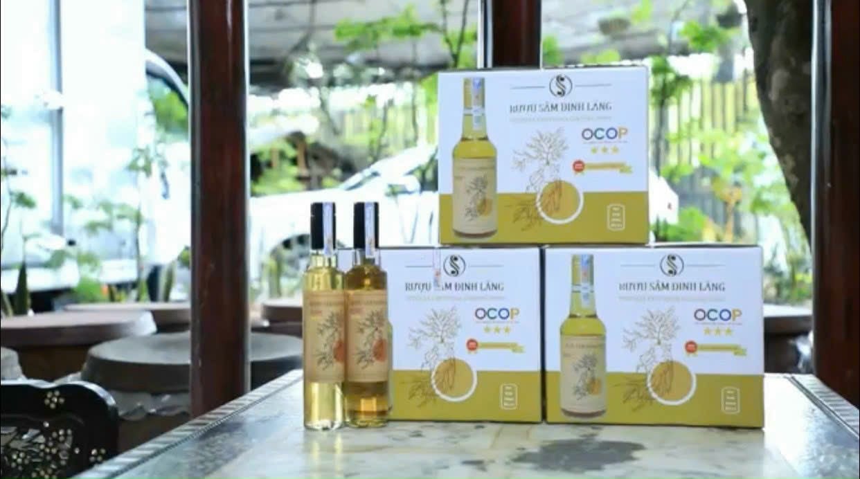 Rượu “nhân sâm của người nghèo” đạt chuẩn OCOP tìm đường ra quốc tế - Ảnh 2.
