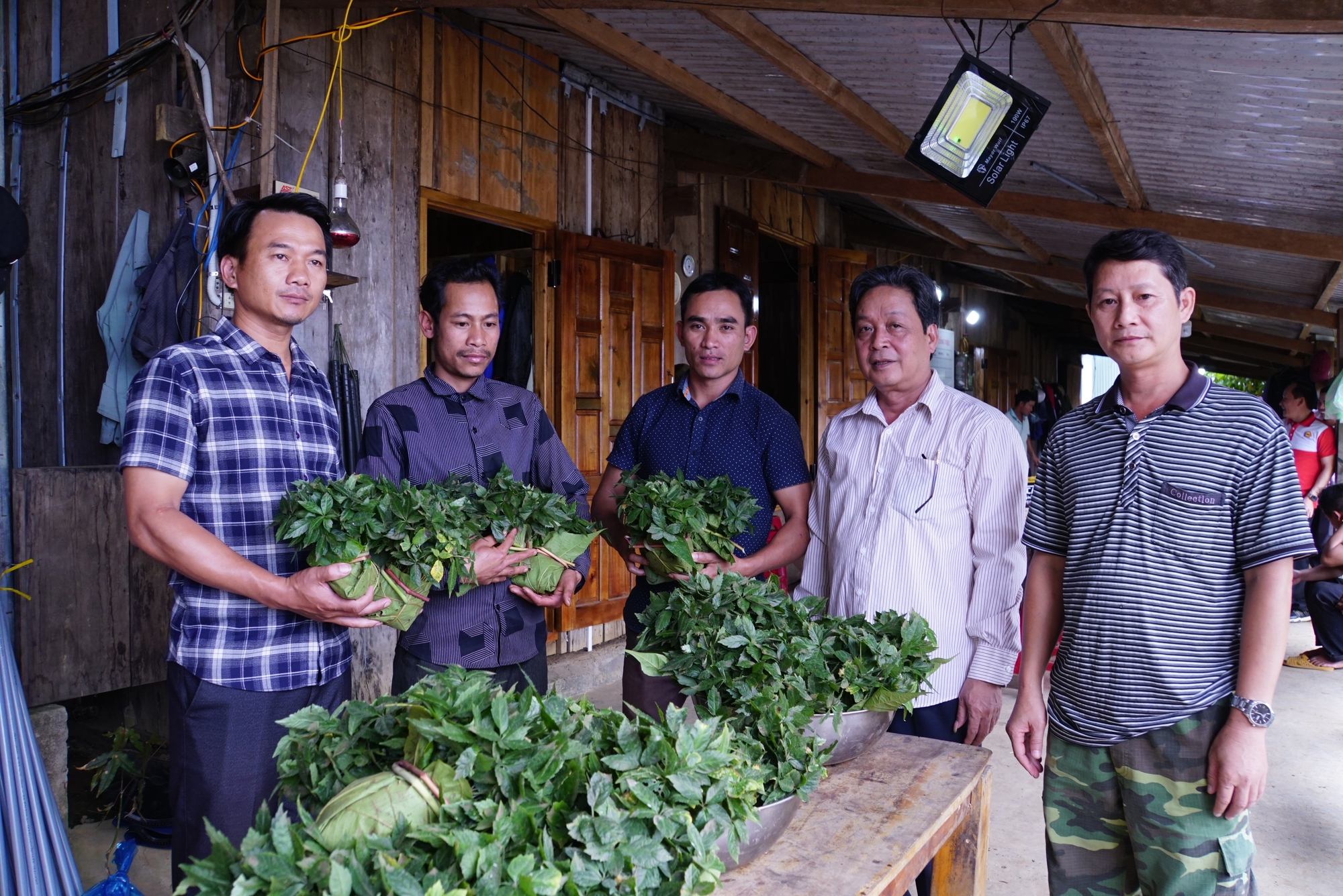 Quảng Nam thống nhất chấm dứt hoạt động dự án đầu tư nhà máy chế biến sâm và cây dược liệu - Ảnh 3. Quảng Nam thống nhất chấm dứt hoạt động dự án đầu tư nhà máy chế biến sâm và cây dược liệu - Ảnh 3.
