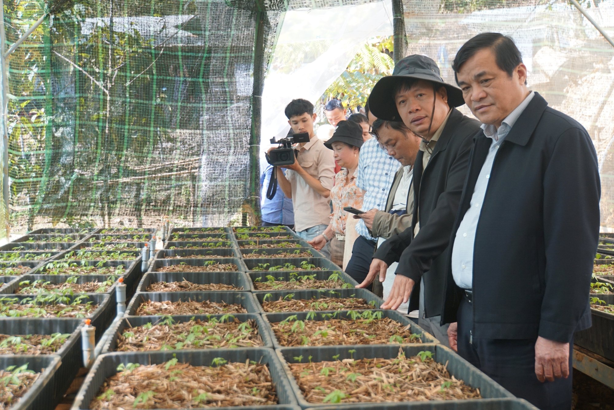 Quảng Nam thống nhất chấm dứt hoạt động dự án đầu tư nhà máy chế biến sâm và cây dược liệu - Ảnh 1. Quảng Nam thống nhất chấm dứt hoạt động dự án đầu tư nhà máy chế biến sâm và cây dược liệu - Ảnh 1.