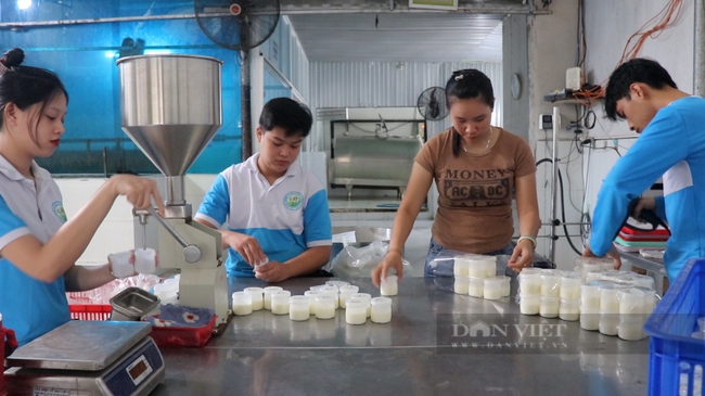 Ngân hàng Nhà nước tại TP.HCM công khai hotline để nông dân 5 huyện nông thôn mới alo khi bức xúc - Ảnh 2.