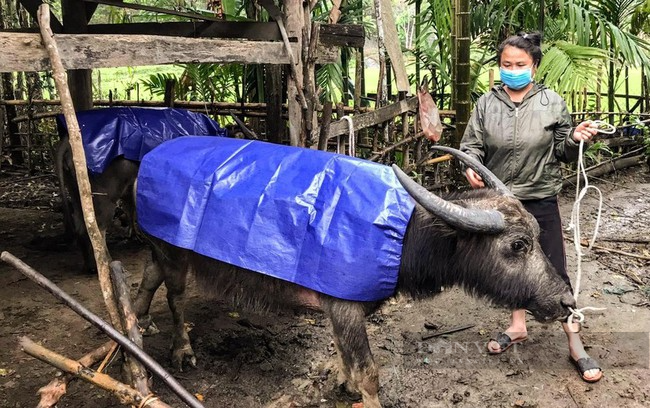 Chủ tịch Hội Nông dân tỉnh Nghệ An lý giải sức hút của phong trào Hội Nông dân trên địa bàn - Ảnh 4.