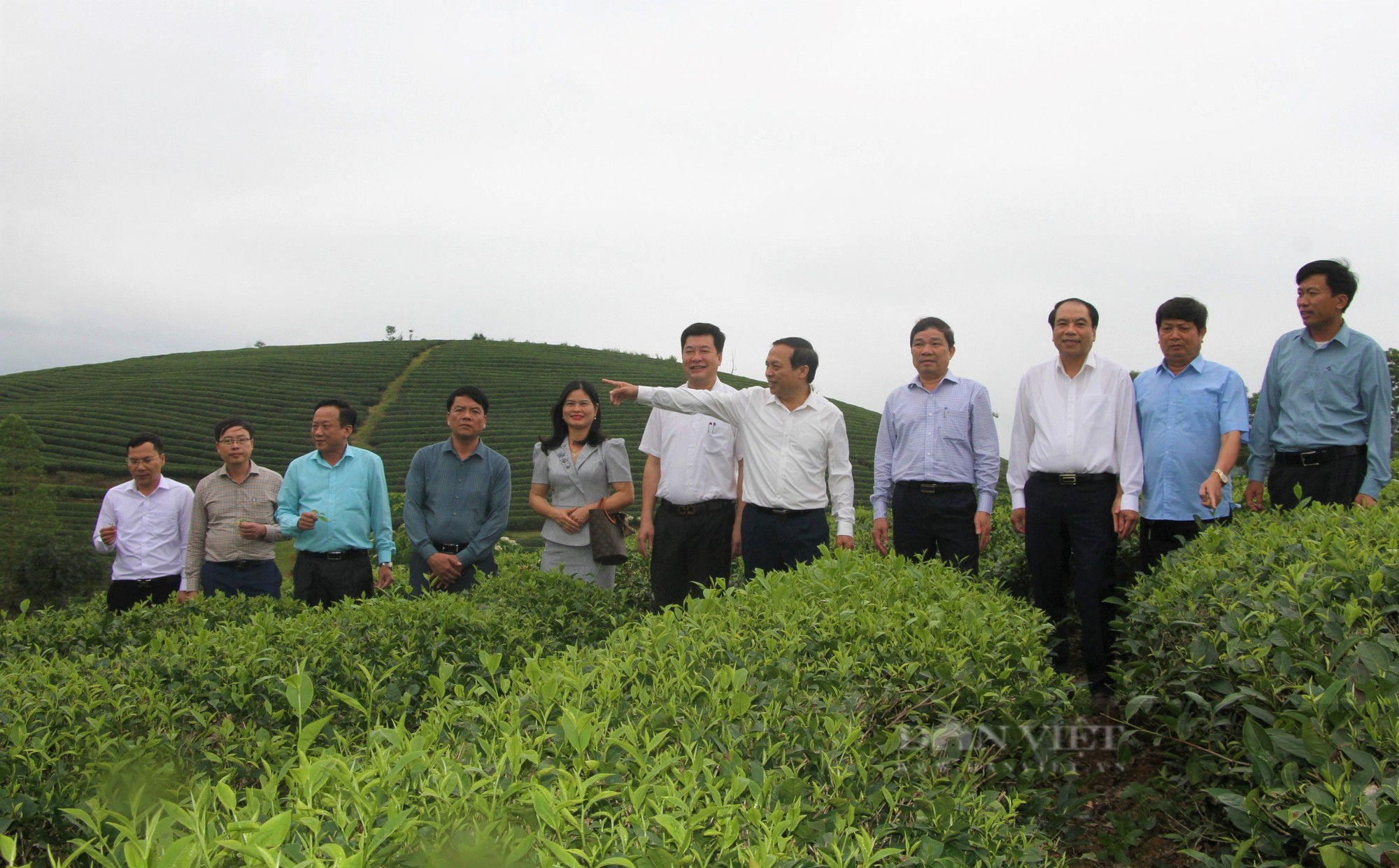 Chủ tịch Hội Nông dân tỉnh Nghệ An lý giải sức hút của phong trào Hội Nông dân trên địa bàn - Ảnh 10.