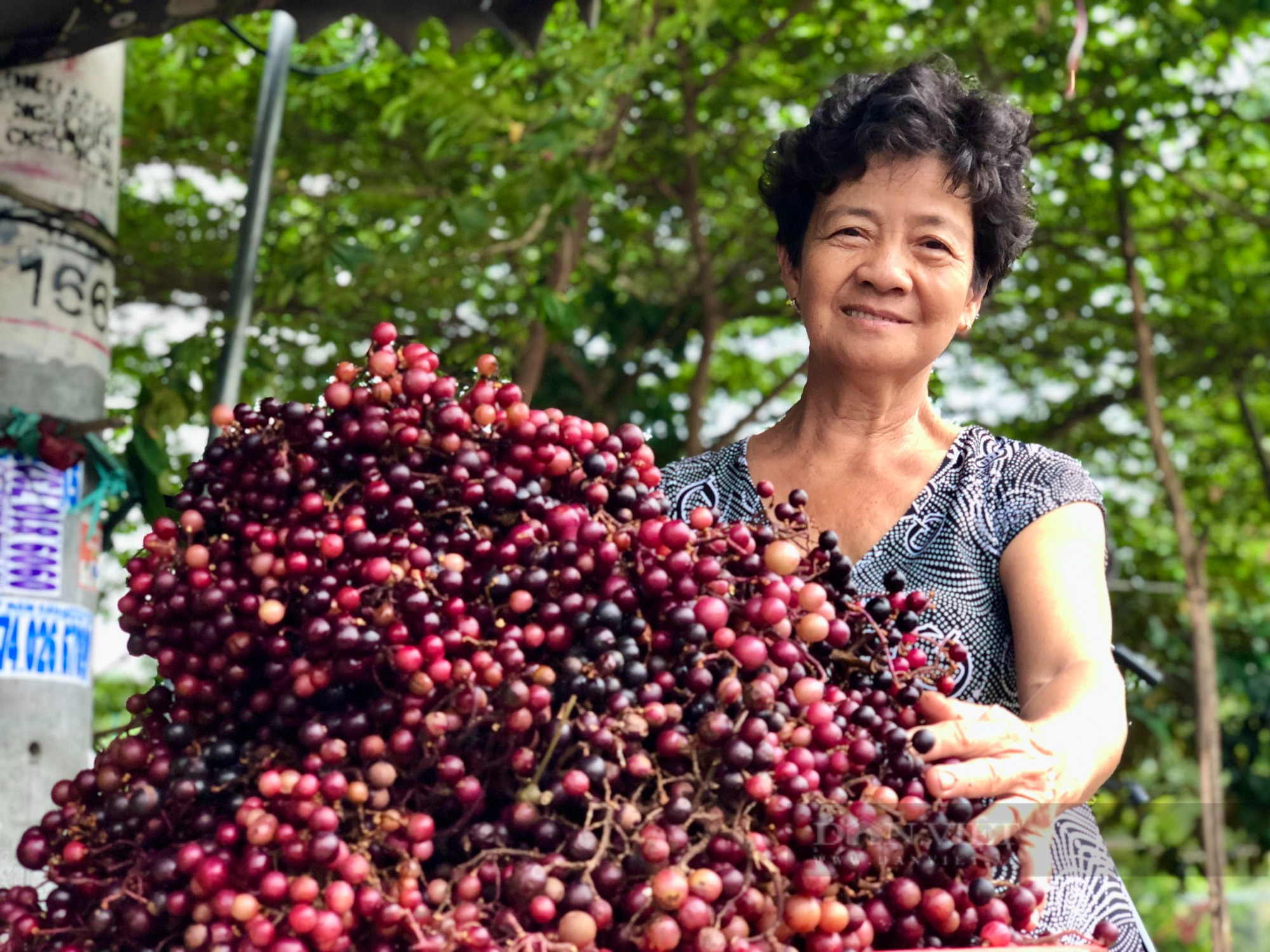 Vì sao cây nho mọc hoang dại trong rừng lại trở thành sản ở vùng Thất Sơn, An Giang? - Ảnh 1.