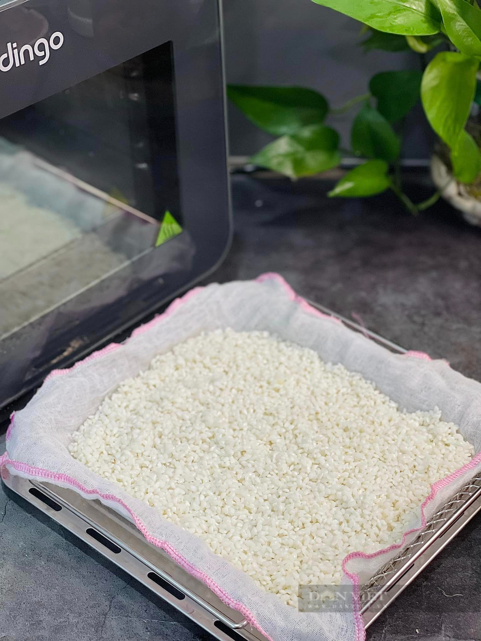 Mách bạn cách làm cơm cháy siêu đơn giản mà ngon khó cưỡng tại nhà - Ảnh 2.