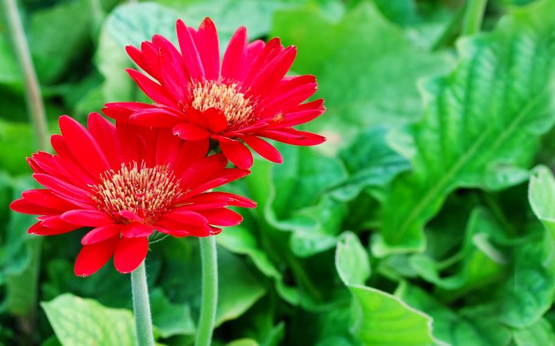 Ý trời định sẵn: Trẻ sinh vào 3 khung giờ Âm lịch này, dũng cảm, tháo vát, về sau thành công hơn người - Ảnh 3.