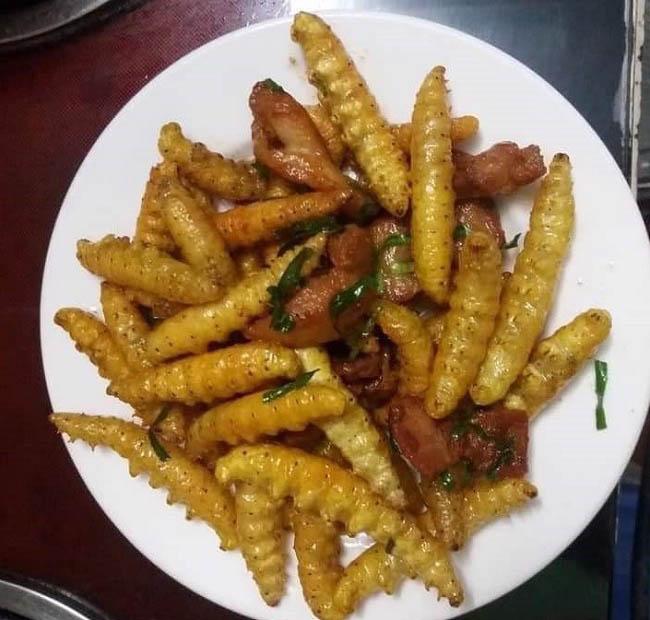 Loài nhìn ghê sợ nhưng được ví “bổ như nhân sâm”, giá 120.000 đồng/kg - Ảnh 10. Loài nhìn ghê sợ nhưng được ví “bổ như nhân sâm”, giá 120.000 đồng/kg - Ảnh 10.