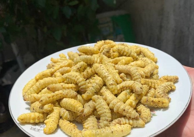 Loài nhìn ghê sợ nhưng được ví “bổ như nhân sâm”, giá 120.000 đồng/kg - Ảnh 11. Loài nhìn ghê sợ nhưng được ví “bổ như nhân sâm”, giá 120.000 đồng/kg - Ảnh 11.