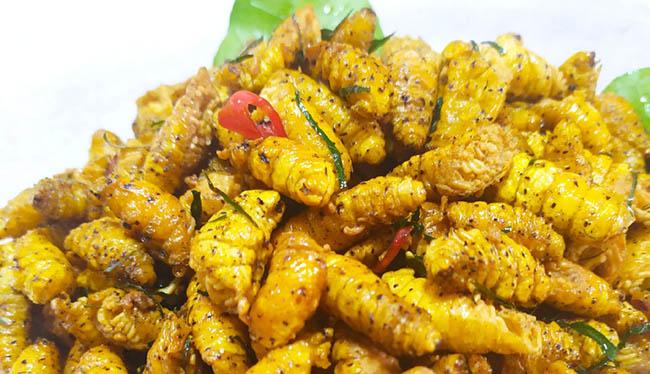 Loài nhìn ghê sợ nhưng được ví “bổ như nhân sâm”, giá 120.000 đồng/kg - Ảnh 5. Loài nhìn ghê sợ nhưng được ví “bổ như nhân sâm”, giá 120.000 đồng/kg - Ảnh 5.