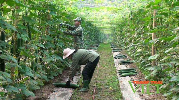 Điện Biên: Xây dựng NTM, tiêu chí thu nhập và tỷ lệ hộ nghèo đa chiều sẽ rất khó đạt - Ảnh 2.