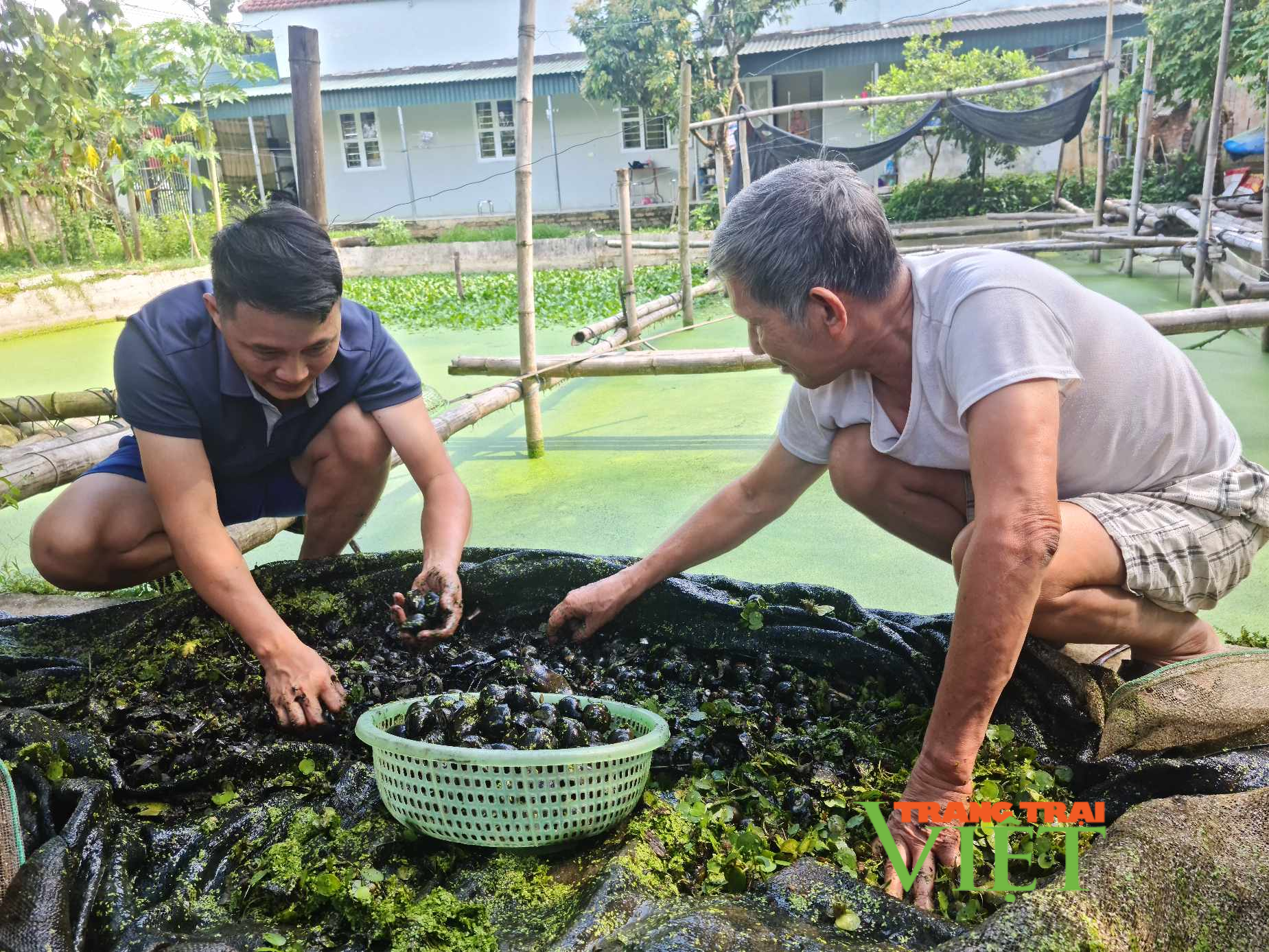 Điện Biên: Xây dựng NTM, tiêu chí thu nhập và tỷ lệ hộ nghèo đa chiều sẽ rất khó đạt - Ảnh 3.