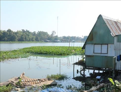 Long An: Sạt lở bờ sông Vàm Cỏ Tây thị xã Kiến Tường dài hơn 2.400m - Ảnh 1.