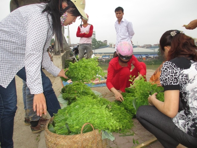 Loại rau rừng ăn ngọt hơn nước ninh xương, sao hễ mang ra chợ người ta tranh nhau mua? - Ảnh 1.