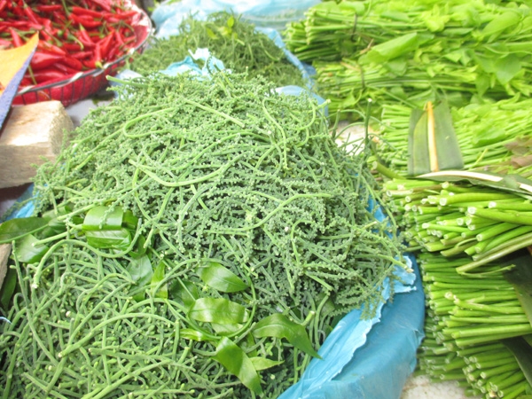 Loại rau rừng ăn ngọt hơn nước ninh xương, sao hễ mang ra chợ người ta tranh nhau mua? - Ảnh 2.