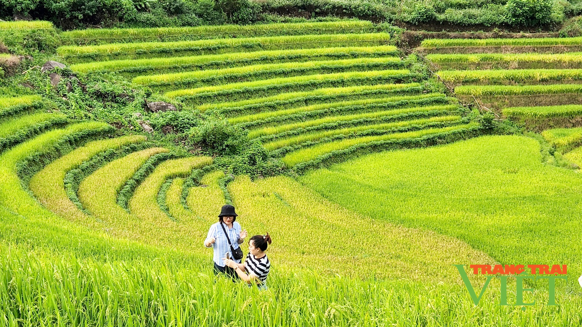 Khảo sát thực tế sản phẩm du lịch “Hùng vĩ Tây Bắc” - Ảnh 2. Khảo sát thực tế sản phẩm du lịch “Hùng vĩ Tây Bắc” - Ảnh 2.
