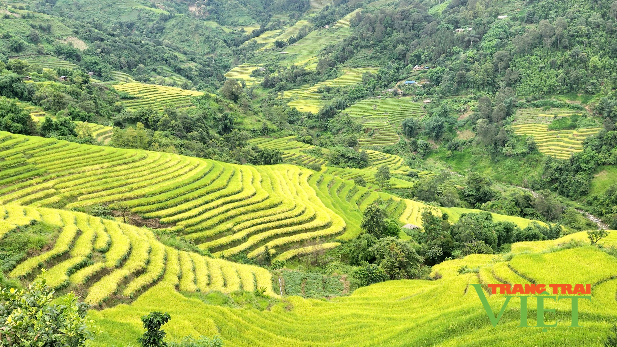 Khảo sát thực tế sản phẩm du lịch “Hùng vĩ Tây Bắc” - Ảnh 3. Khảo sát thực tế sản phẩm du lịch “Hùng vĩ Tây Bắc” - Ảnh 3.