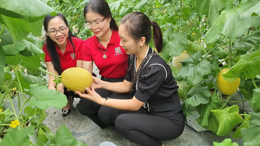 Nguồn vốn Agribank hỗ trợ phát triển nông sản sạch, nông sản đạt tiêu chuẩn OCOP - Ảnh 1.