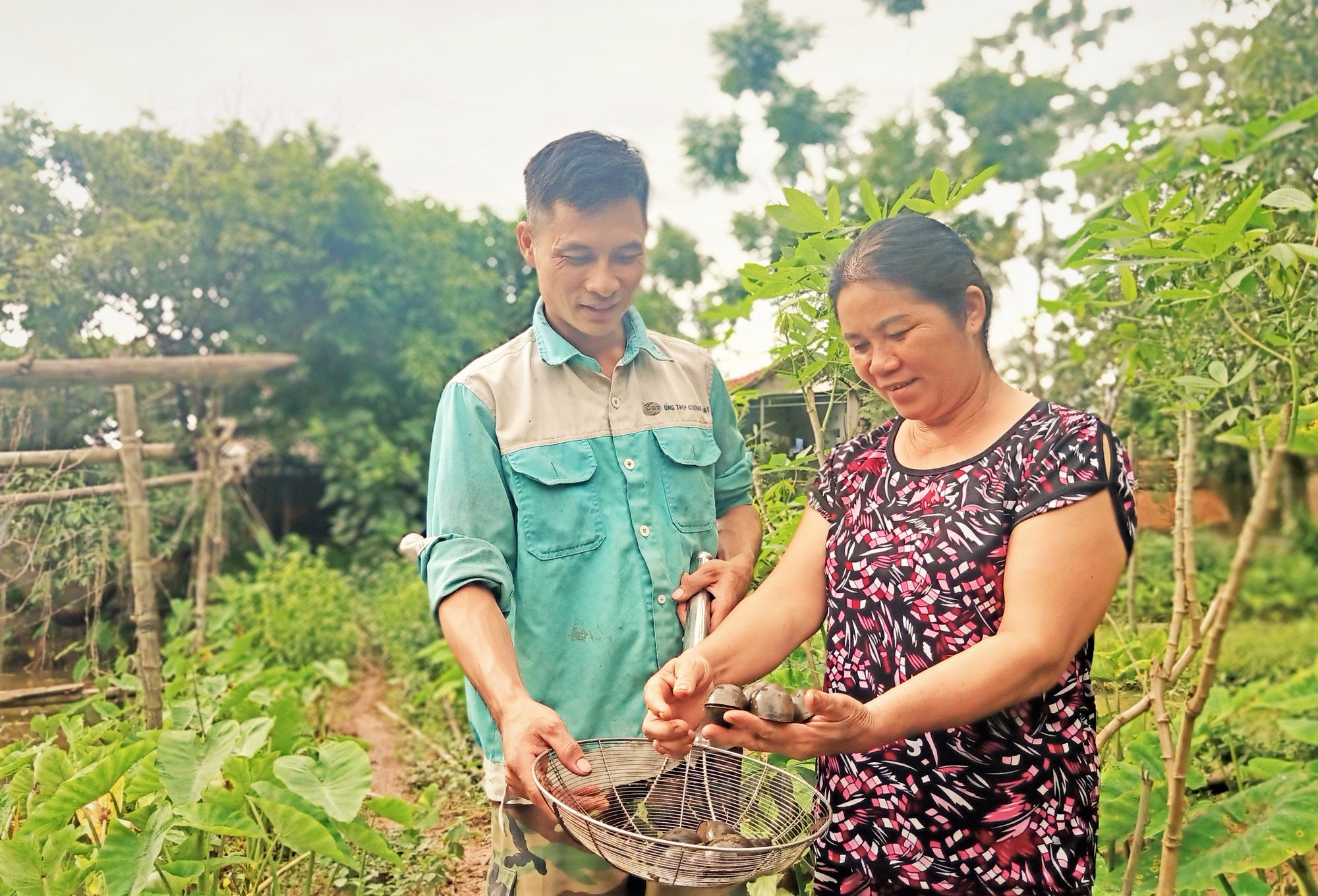 Nuôi con vật bơi, bò dưới ao bằng mồm, đẻ sòn sòn, trai làng Bắc Giang lãi cả trăm triệu - Ảnh 1.