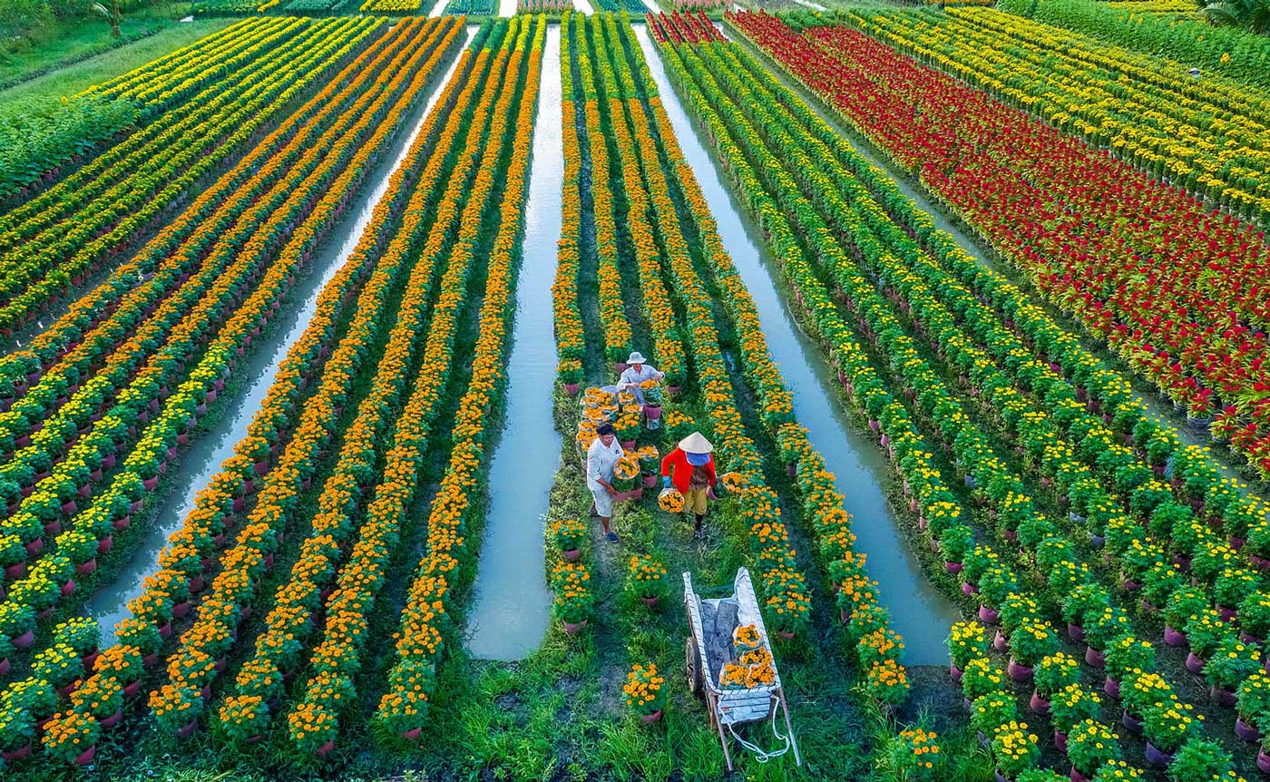 Phê duyệt Chiến lược phát triển ngành nghề nông thôn đến năm 2030, tầm nhìn đến năm 2045 - Ảnh 1. Phê duyệt Chiến lược phát triển ngành nghề nông thôn đến năm 2030, tầm nhìn đến năm 2045 - Ảnh 1.