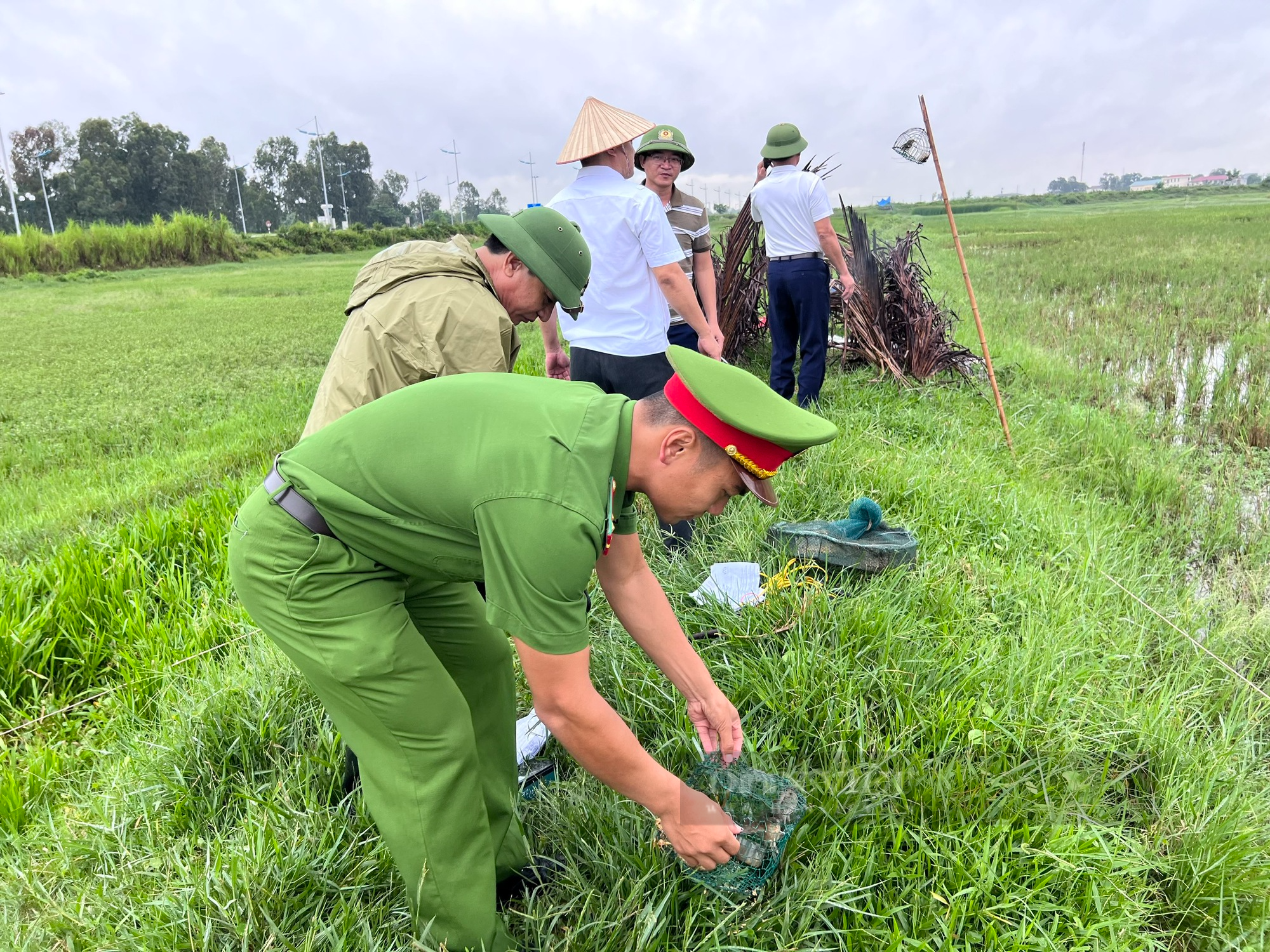 Thanh Hóa tháo gỡ những “thiên la, địa võng” bẫy chim, cò sau phản ánh của báo Dân Việt - Ảnh 3.
