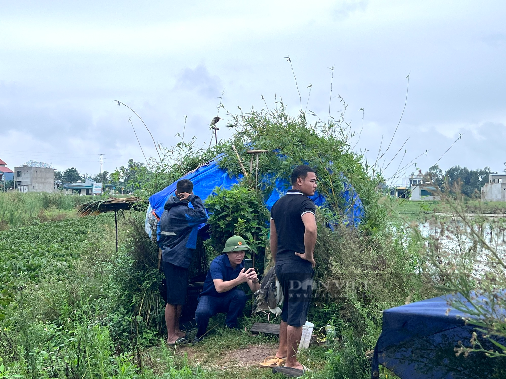 Thanh Hóa tháo gỡ những “thiên la, địa võng” bẫy chim, cò sau phản ánh của báo Dân Việt - Ảnh 6.